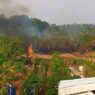 Empat Karhutla dalam Dua Pekan