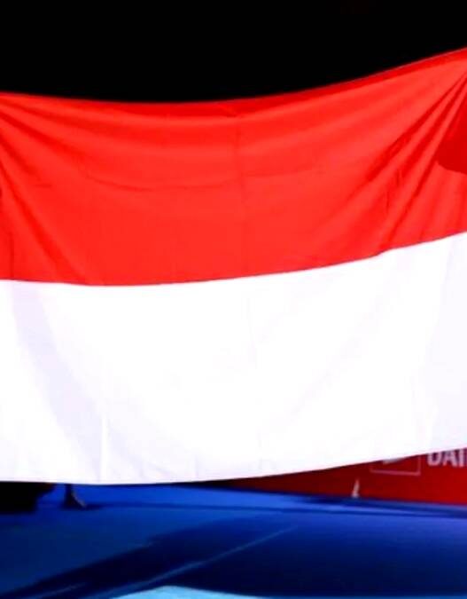 Fajar/Fikri Juara Japan Open