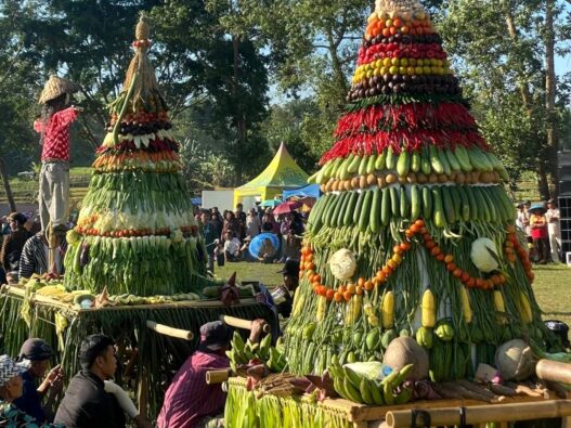 Festival Wong Tani Dongkrak UMKM