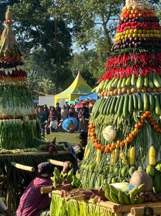 Festival Wong Tani Dongkrak UMKM