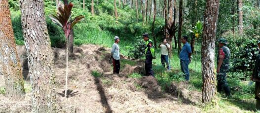 Garapan Ilegal Ditemukan di Kawasan Hutan Wanayasa