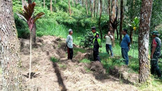 Garapan Ilegal Ditemukan di Kawasan Hutan Wanayasa