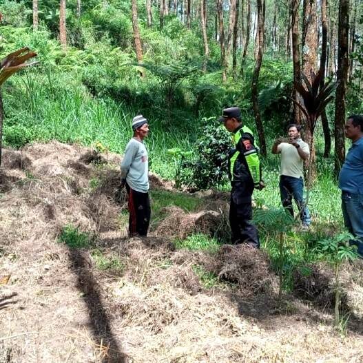 Garapan Ilegal Ditemukan di Kawasan Hutan Wanayasa