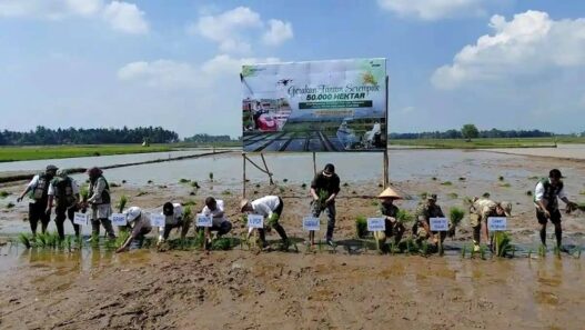 Gerakan Tanam Serempak di Cilacap