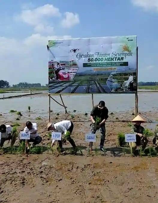 Gerakan Tanam Serempak di Cilacap
