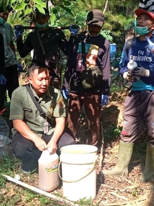 Hama Rusak 30 Persen Tanaman Cengkeh