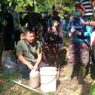Hama Rusak 30 Persen Tanaman Cengkeh
