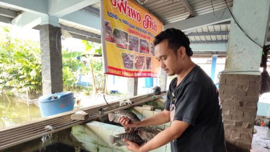 Ikan Air Tawar Tak Dilirik Dapur MBG