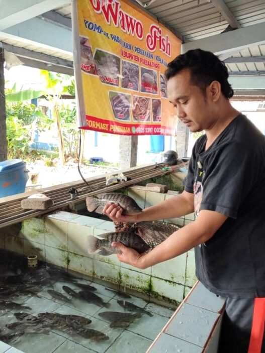 Ikan Air Tawar Tak Dilirik Dapur MBG