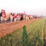 Jalan Desa Menjelma Ruang Wisata