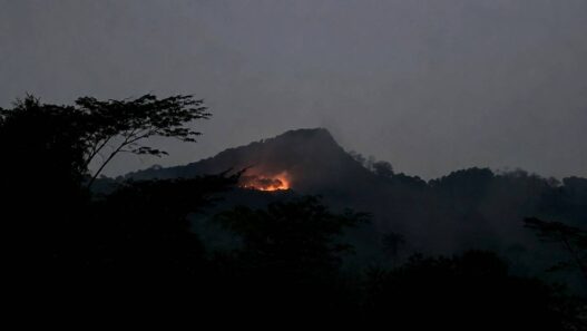 Karhutla Gunung Putri Kembali Terjadi