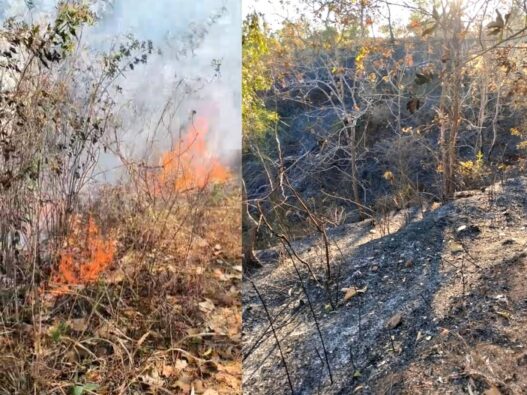 Kebakaran Hutan Terjadi di Sejumlah Kabupaten di Jawa Timur