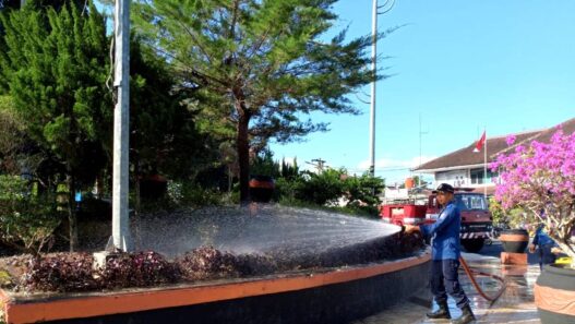 Kemarau Bikin Rumput Alun alun Menguning