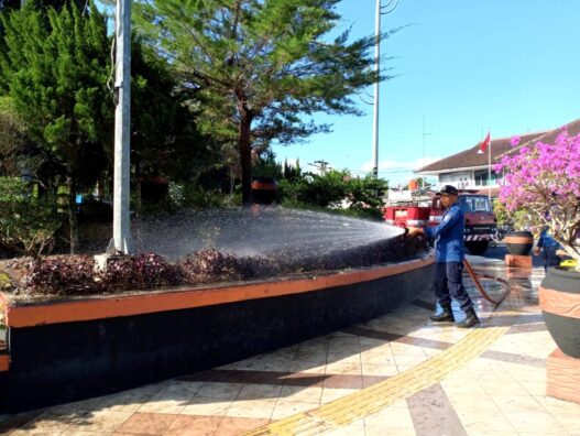 Kemarau Bikin Rumput Alun alun Menguning