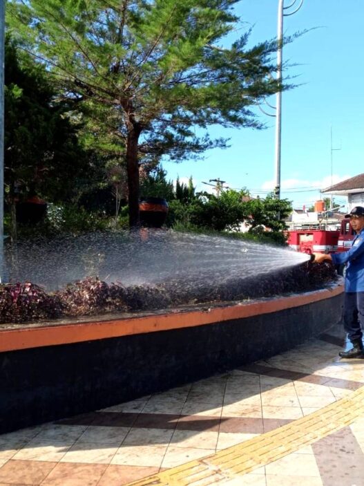 Kemarau Bikin Rumput Alun alun Menguning
