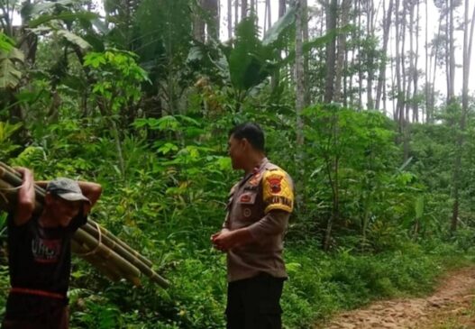 Kemarau Panjang Tingkatkan Risiko Karhutla