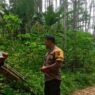 Kemarau Panjang Tingkatkan Risiko Karhutla