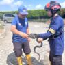 King Cobra Terjebak di Area RSU Priscilla