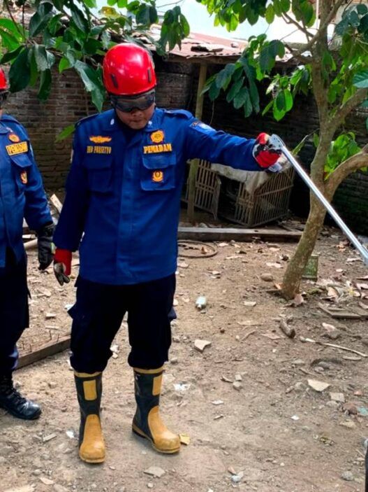 Kobra Masuk Permukiman di Kemangkon