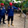 Kobra Masuk Permukiman di Kemangkon