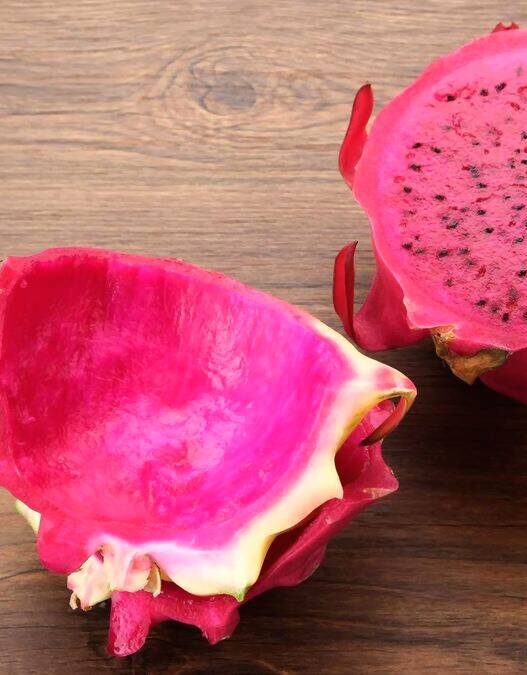 Kulit Buah Naga
