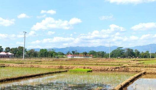 Pencurian Kabel Pompa Irigasi Marak