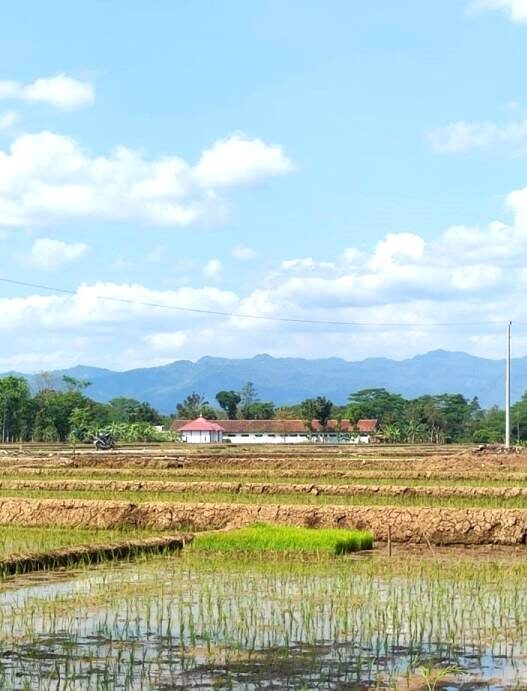 Pencurian Kabel Pompa Irigasi Marak