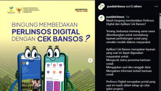 Perbedaan Perlinsos Digital dan Cek Bansos