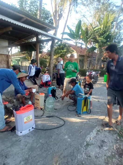 Petani Jatiluhur Gelar Gerdal Perdana Kacang Hijau