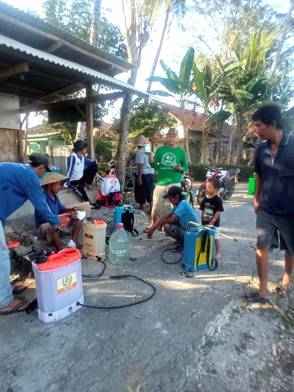 Petani Jatiluhur Gelar Gerdal Perdana Kacang Hijau