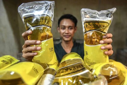 Produksi Minyakita Menurun Pengaruh Ekspor CPO