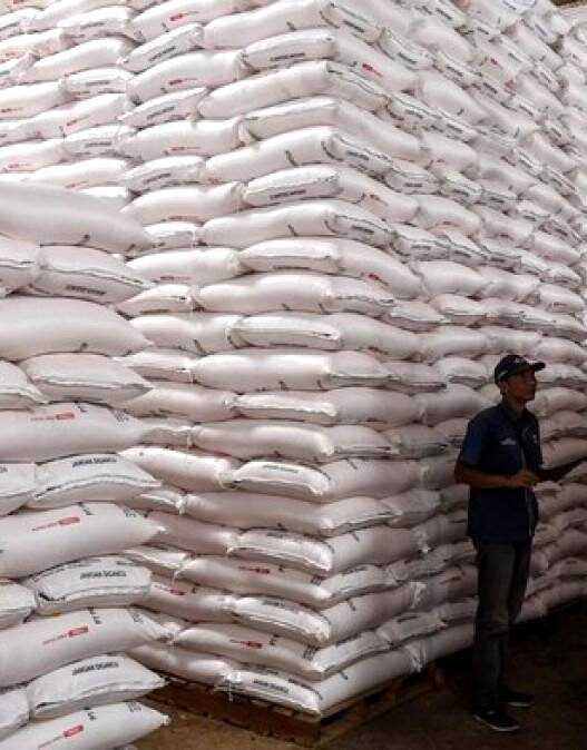 Pupuk Subsidi Naik Jadi 9,5 Juta Ton