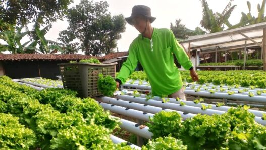 Putuskan Tinggalkan Dunia Industri
