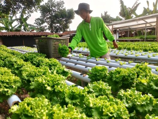 Putuskan Tinggalkan Dunia Industri