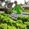 Putuskan Tinggalkan Dunia Industri