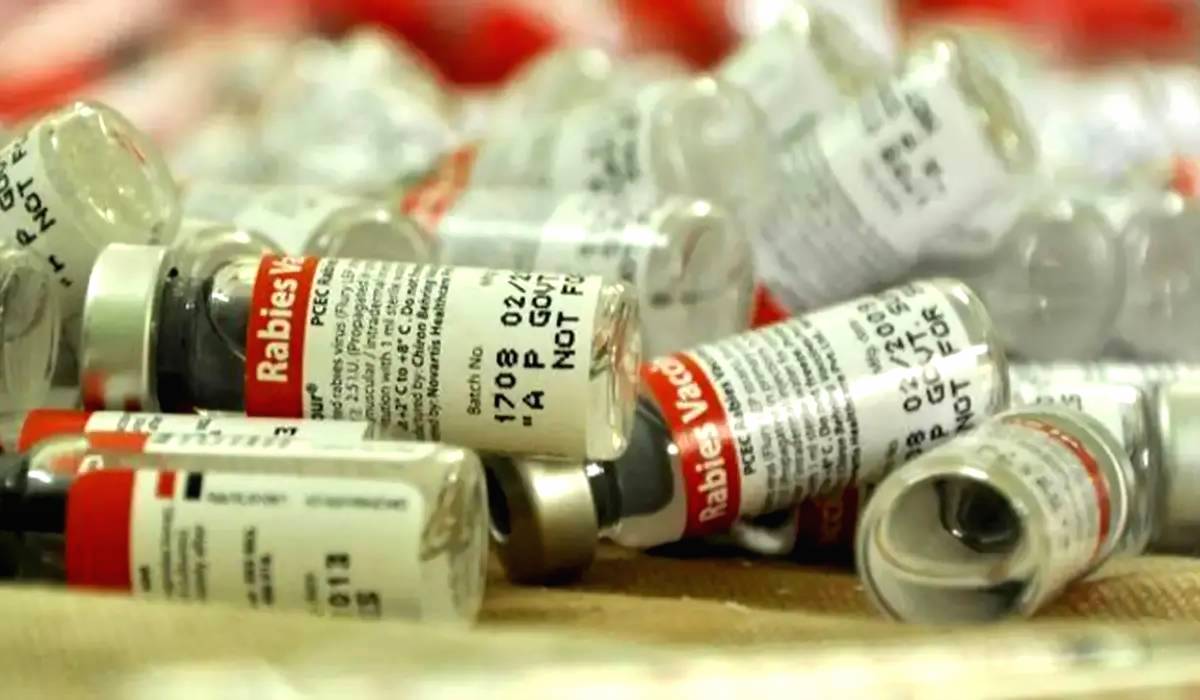 Rabies dan Penanganannya