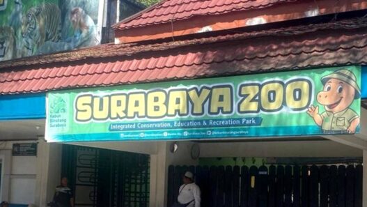 Satwa Tetap Terawat di KBS