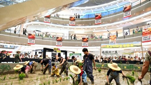 Sawah Muncul di Dalam Mall