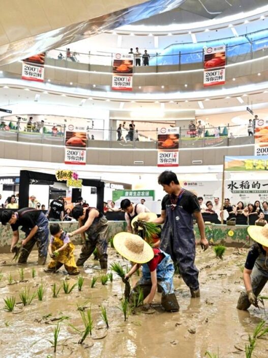 Sawah Muncul di Dalam Mall