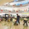 Sawah Muncul di Dalam Mall