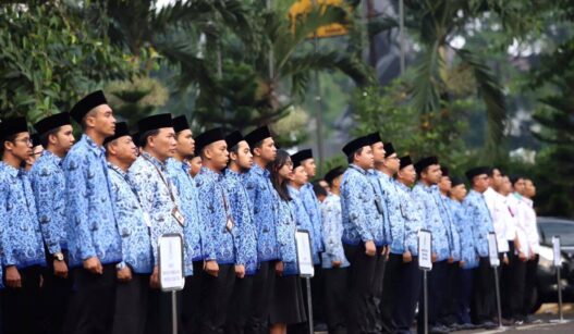 Sebaran Penempatan PPPK