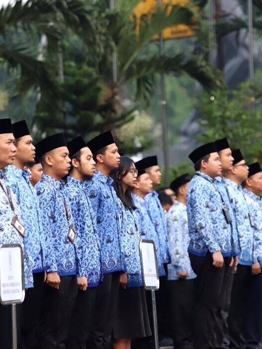 Sebaran Penempatan PPPK