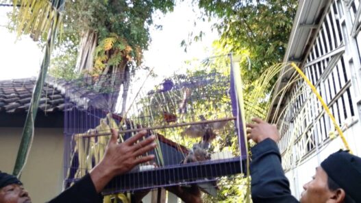 Sedekah Bumi Disertai Pelepasliaran Satwa