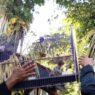Sedekah Bumi Disertai Pelepasliaran Satwa