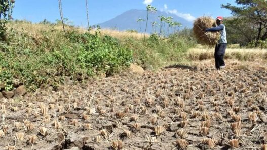 Sejumlah Zona Wilayah Di Indonesia Resmi Masuk Ke Musim Kemarau