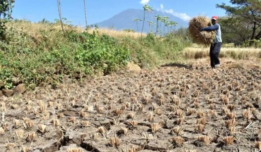 Sejumlah Zona Wilayah Di Indonesia Resmi Masuk Ke Musim Kemarau