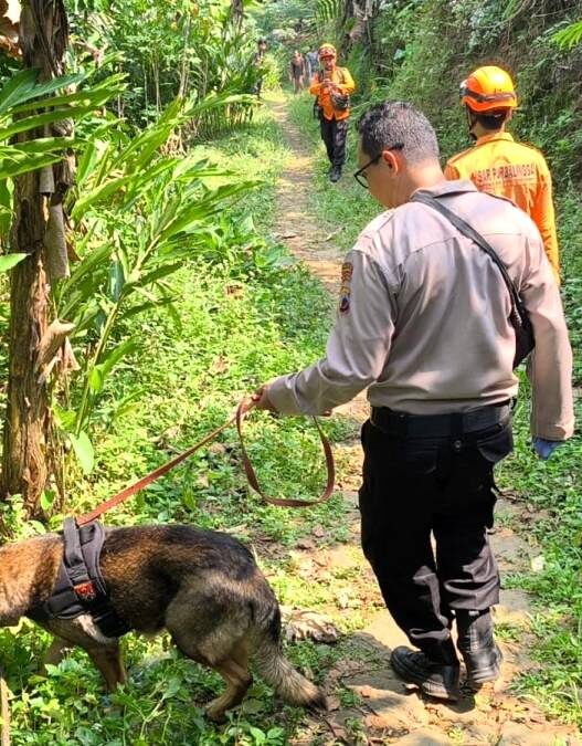 Seminggu Hilang, Lansia Belum Ditemukan