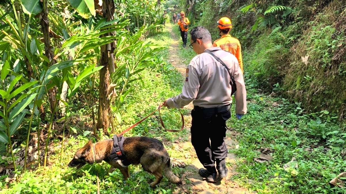 Seminggu Hilang, Lansia Belum Ditemukan