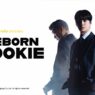 Sinopsis Reborn Rookie