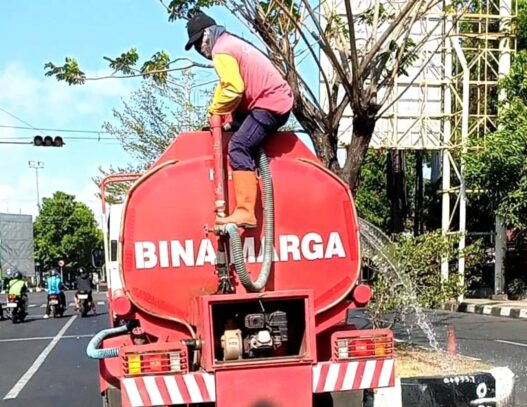 Tanaman Median Jalan Mulai Mengering